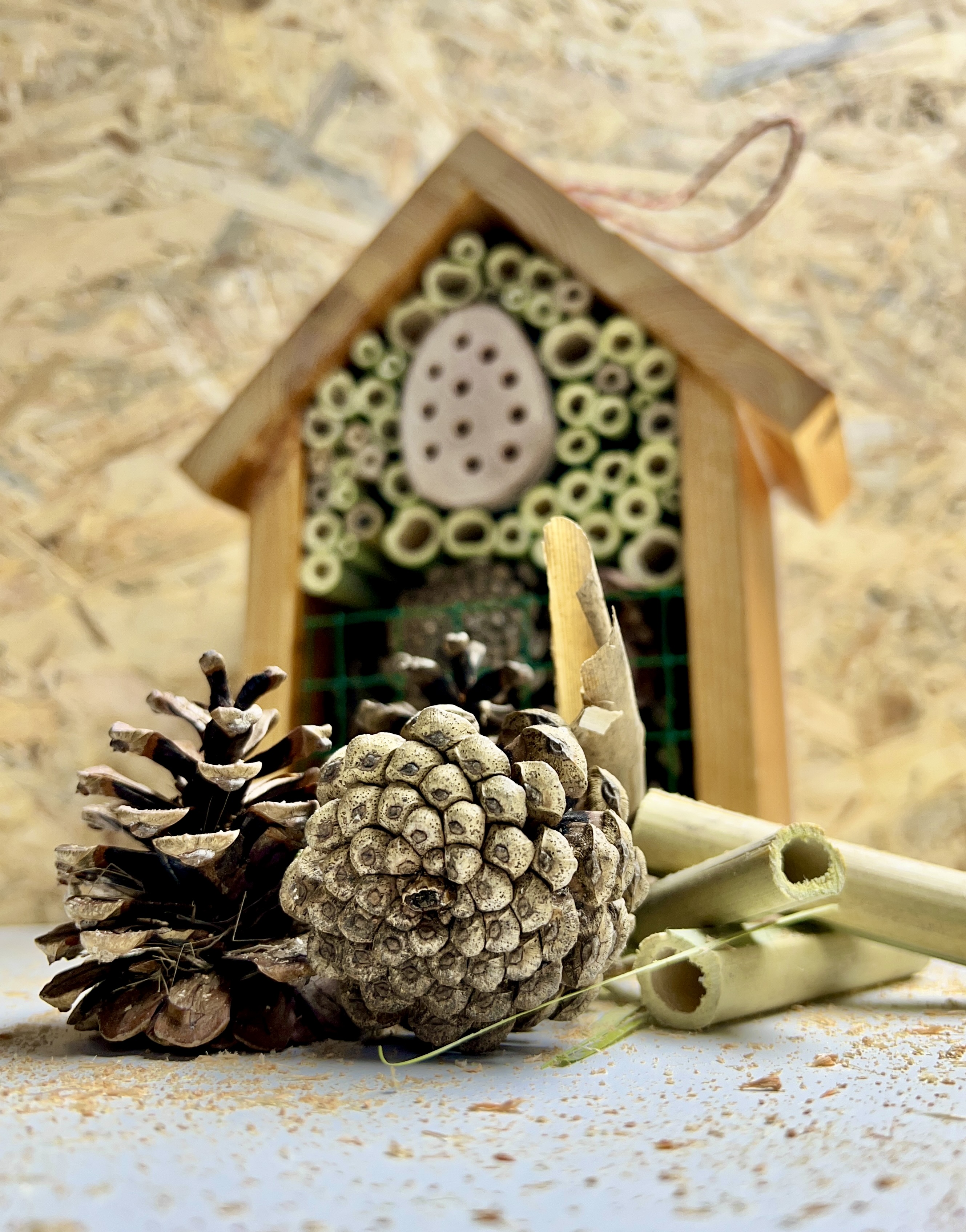 Insektenhotel